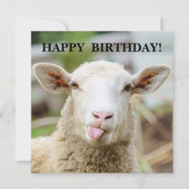 羊が舌を出す シーズンカード