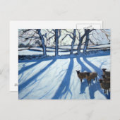 羊が雪のダービーシャー ポストカード (正面/裏面)