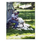 羊せん断カード (正面)