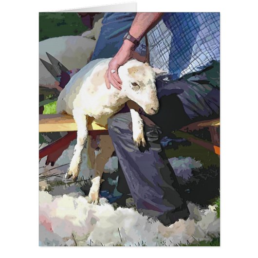 羊せん断カード (正面)