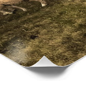 羊とライオンズが調和 ポスター (コーナー)