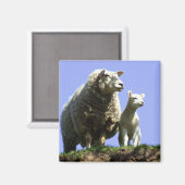 羊と子羊の磁石 マグネット (正面/裏面)