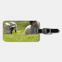 羊と春 ラゲッジタグ