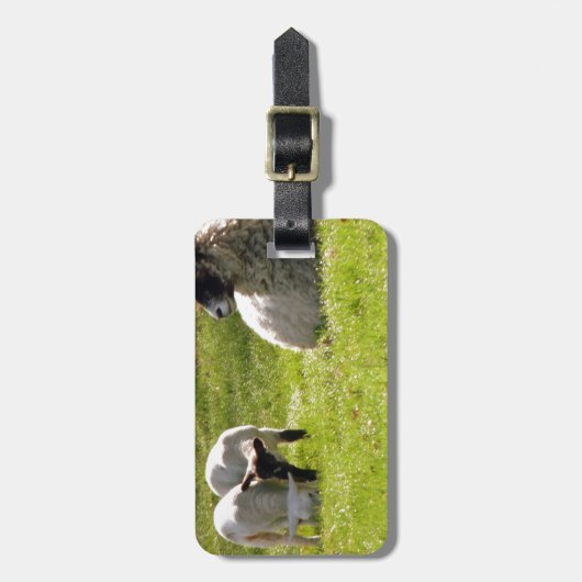 羊と春 ラゲッジタグ (正面縦)