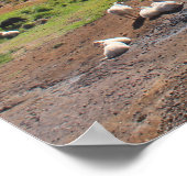 羊と熱い春 ポスター (角)