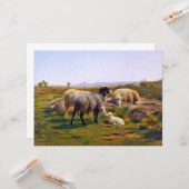 羊と羊の自然(by Rosa Bonheur) カード (正面/裏面インサイチュ)