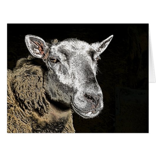 羊のカード (正面横)