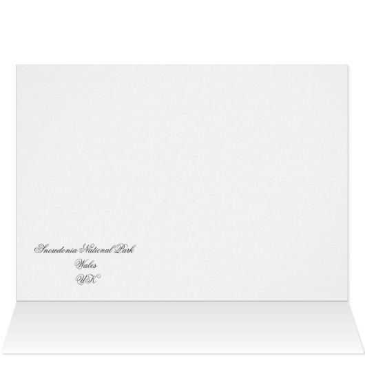 羊のカード (内部横(上))