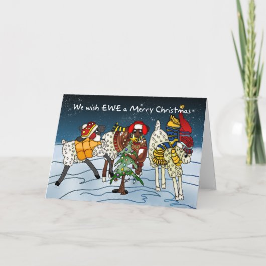 羊のクリスマスカード – 私たちはクリスマスを願メリーう シーズンカード (正面)