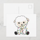 羊のクリスマス雪の冬の動物が羊の毛を刈る ポストカード (正面/裏面)