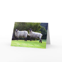 羊のグリーティングカードを歓迎。