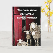 「羊のグループ」は、「ハッピーバースデー」 カード (黄色い花)