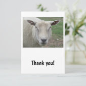 羊のデザインサンキューカード サンキューカード (スタンド正面)