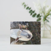 羊のドリス ポストカード (スタンド正面)