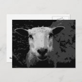 羊のドリス ポストカード (正面/裏面)