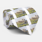 羊のネクタイ ネクタイ (ロール)