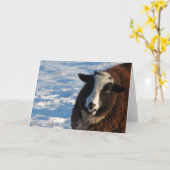 羊のパンドラ(PANDI) カード (黄色い花)