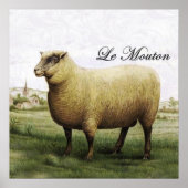 羊のポスター ポスター (正面)