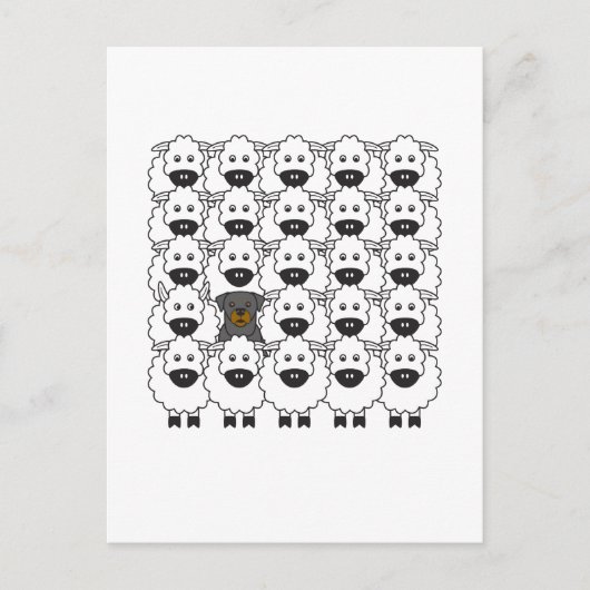 羊の中のロティ ポストカード (正面)