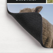 羊の写真コラージュカスタムのマウスパッド マウスパッド (コーナー)