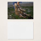 羊の刈り (正面&裏面)