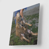 羊の刈り スクエア壁時計 (傾斜)