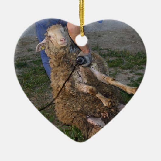 羊の刈り セラミックオーナメント (正面)