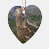 羊の刈り セラミックオーナメント (左)