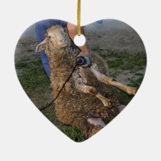 羊の刈り セラミックオーナメント (裏面)