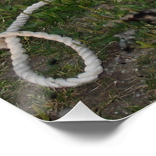 羊の刈り ポスター (コーナー)