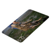 羊の刈り マグネット (左側)