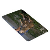 羊の刈り マグネット (右側)