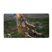 羊の刈り ラベル (正面)