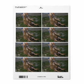 羊の刈り ラベル (フルシート)