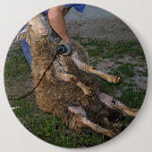 羊の刈り 缶バッジ (正面)