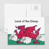 羊の国，羊の山 ポストカード (正面/裏面)