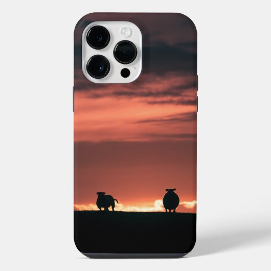 羊の夕日自然写真 iPhoneケース (裏面)