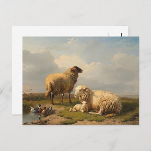 羊の子羊とアヒル | ユージェーヌジョセフヴェルボエクホーフェン ポストカード (正面/裏面)