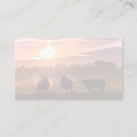 羊の子羊の家畜農家名刺 名刺 (裏面)