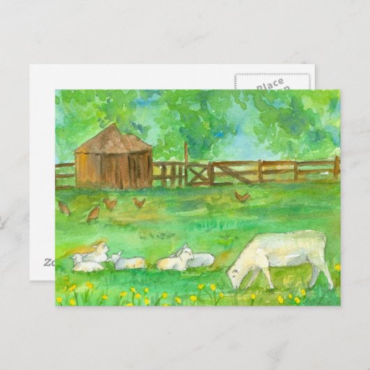 羊の子羊の鶏の農場の動物絵画の ポストカード (正面/裏面)