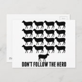 羊の後を追群れ – 自分自身でいなさい ポストカード (正面/裏面)
