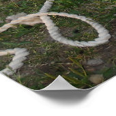 羊の忙し刈り入れ ポスター (角)