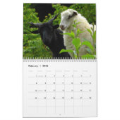羊の恋人カレンダー、羊の写真 カレンダー (2月 2026)