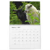 羊の恋人カレンダー、羊の写真 カレンダー (2月 2027)