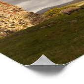 羊の放牧とセスフォード城の遺跡 ポスター (角)