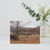 羊の放牧オンファームポストカード ポストカード (スタンド正面)