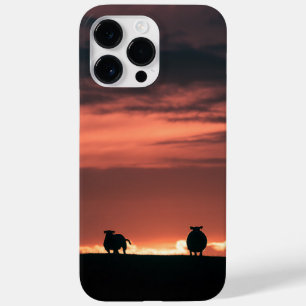 羊の日没自然写真 Case-Mate iPhone 14 PRO MAXケース