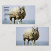 羊の服を着た狼 名刺 (正面/裏面)