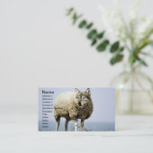 羊の服を着た狼 名刺 (スタンド正面)