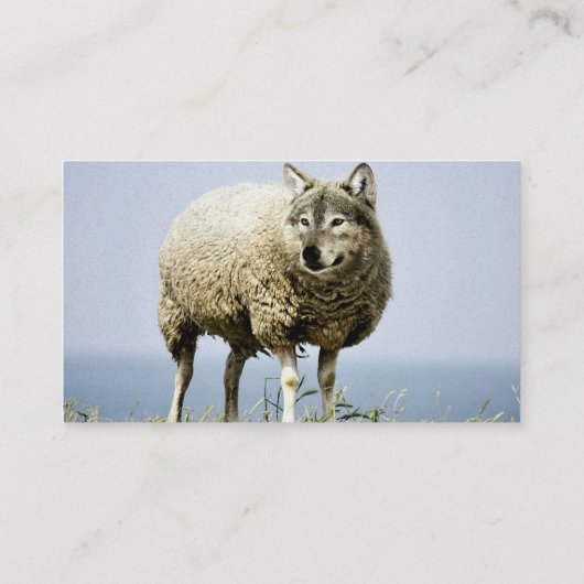 羊の服を着た狼 名刺 (裏面)